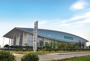 紅網(wǎng)政務(wù)中心 科技賦能文教，智慧服務(wù)民生